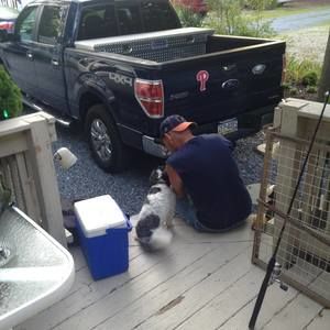 Meet your Posher, George